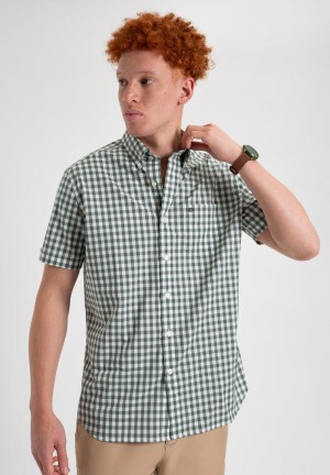 Kosele Ben Sherman House Poplin Gingham Olivovo Zelená | WTKQP7389